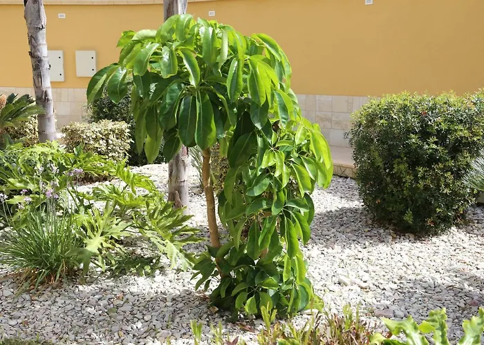 L'oasi Di Ciccio Daire