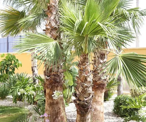 L'oasi Di Ciccio Daire