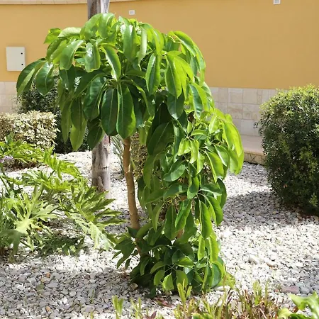 L'oasi Di Ciccio Apartment