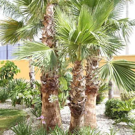 L'oasi Di Ciccio Apartment